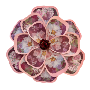 Pink/Burgundy Floral